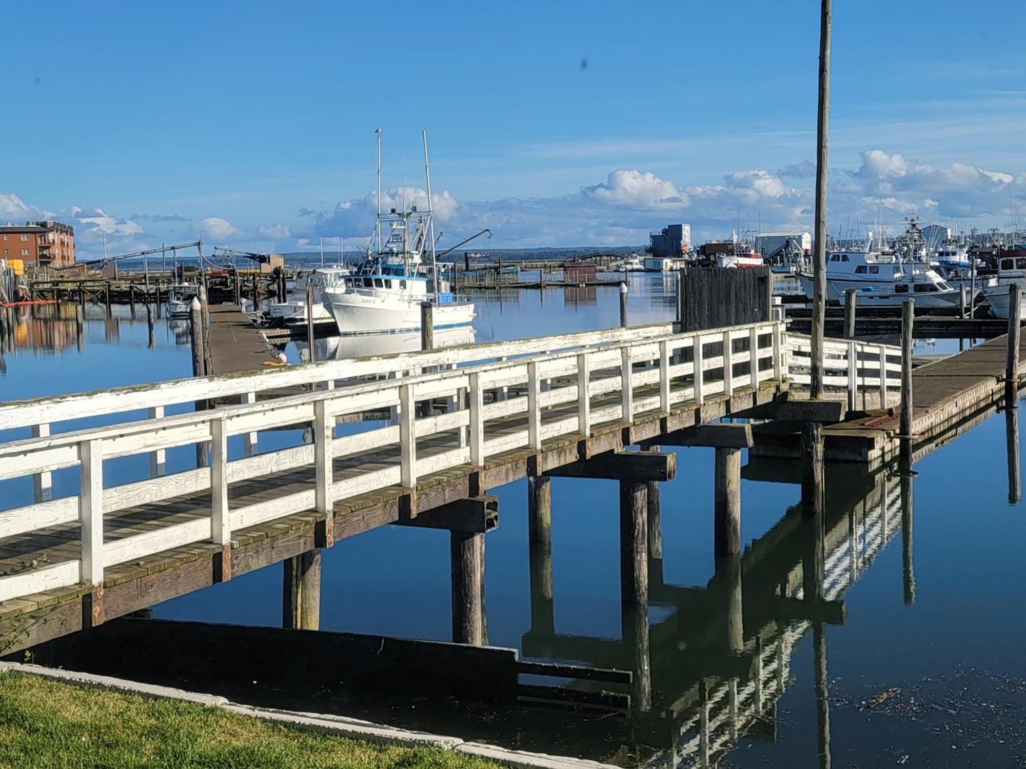 Saltwater Inn Westport Bagian luar foto