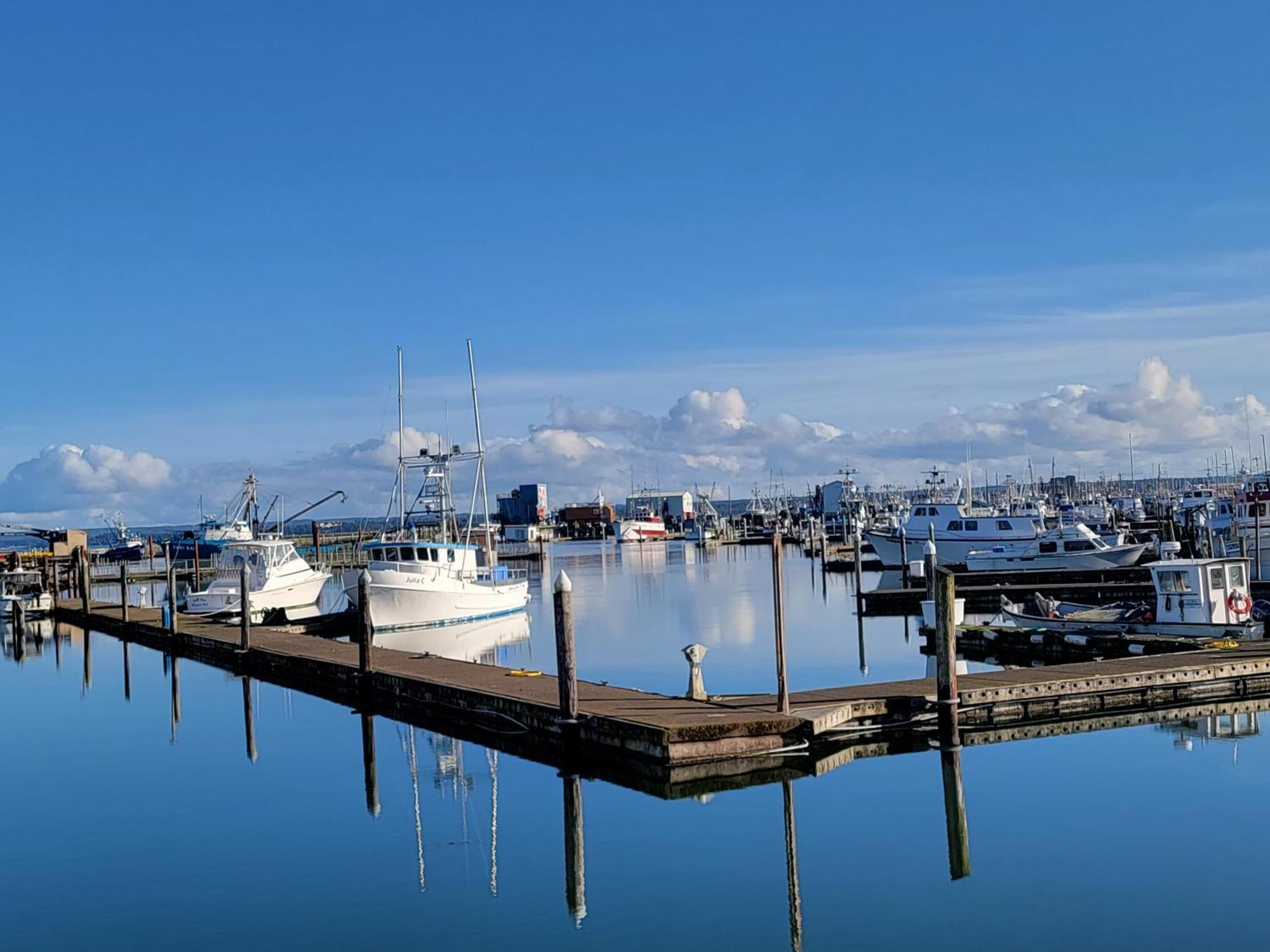 Saltwater Inn Westport Bagian luar foto